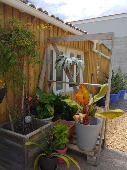 Studio Cocooning Le Porge Extérieur photo